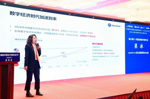 中國基礎軟件根技術發展白皮書發布，北京軟件技術開發迎來新機遇